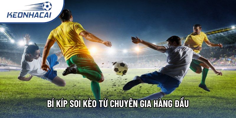 Bí kíp soi kèo từ chuyên gia hàng đầu