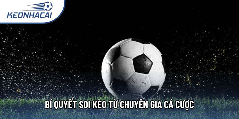 Bí quyết soi kèo từ chuyên gia cá cược