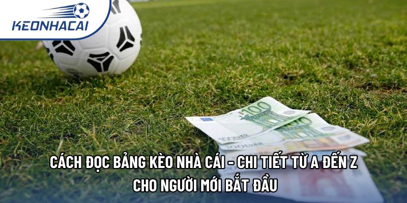 Cách đọc bảng kèo nhà cái - Chi tiết từ A đến Z cho người mới bắt đầu