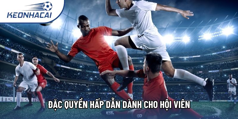 Đặc quyền hấp dẫn dành cho hội viên