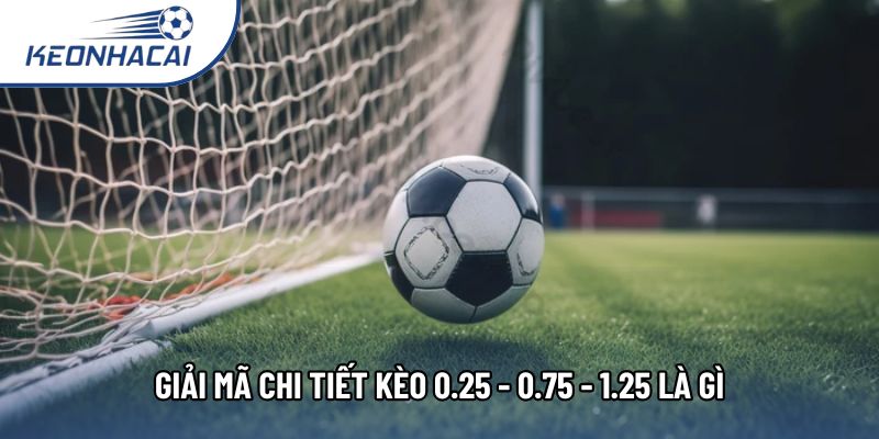 Giải mã chi tiết kèo 0.25 - 0.75 - 1.25 là gì