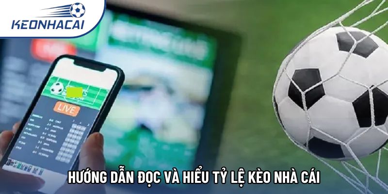Hướng dẫn đọc và hiểu tỷ lệ kèo nhà cái