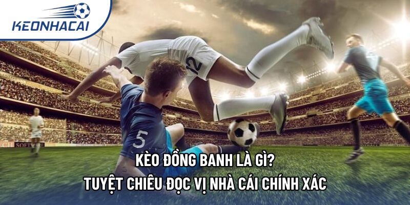 Kèo Đồng Banh Là Gì? Tuyệt Chiêu Đọc Vị Nhà Cái Chính Xác