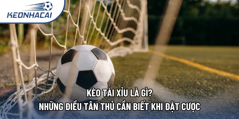 Kèo Tài Xỉu Là Gì? Những Điều Tân Thủ Cần Biết Khi Đặt Cược