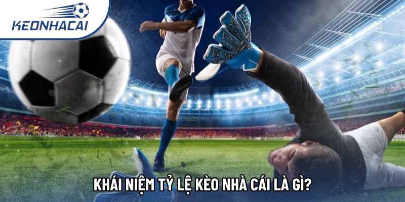 Khái niệm tỷ lệ kèo nhà cái là gì?