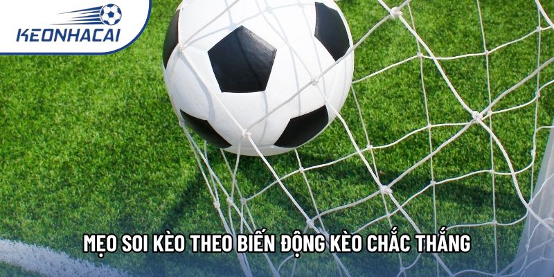 Mẹo soi kèo theo biến động kèo chắc thắng