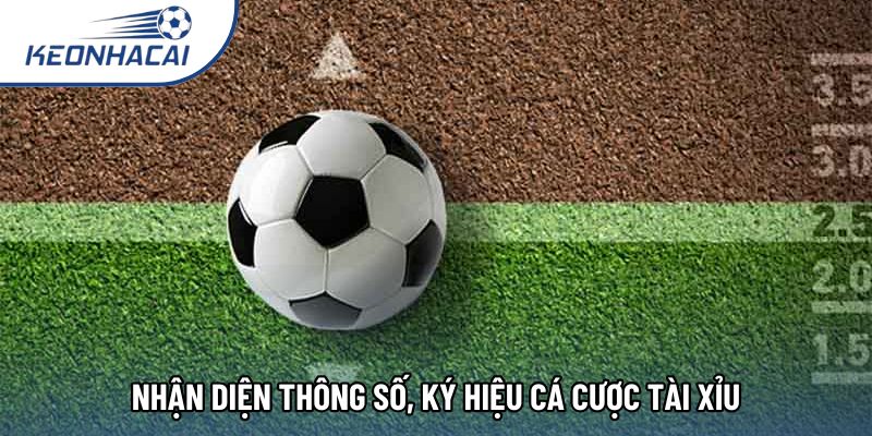 Nhận diện thông số, ký hiệu cá cược tài xỉu