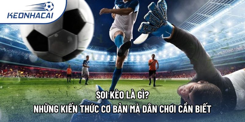 Soi Kèo Là Gì? Những Kiến Thức Cơ Bản Mà Dân Chơi Cần Biết