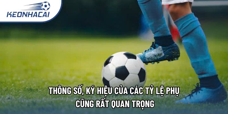 Thông số, ký hiệu của các tỷ lệ phụ cũng rất quan trọng